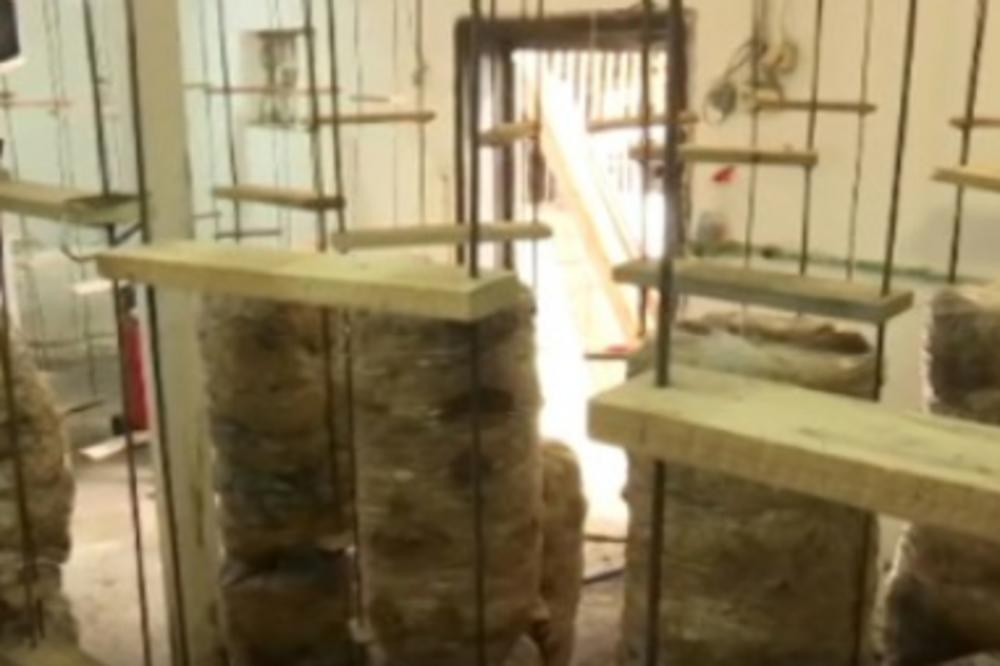 UZGAJANJE OVE BILJKE U SRBIJI MOŽE DA VAM DONESE OZBILJNE PARE! Tražnja je sve veća!