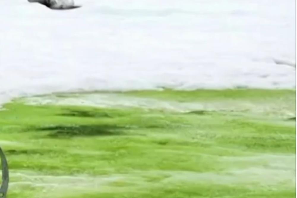 NA ANTARKTIKU JE PRIMEĆENO NEŠTO JEZIVO: Situacija je veoma OZBILJNA, tvrde naučnici