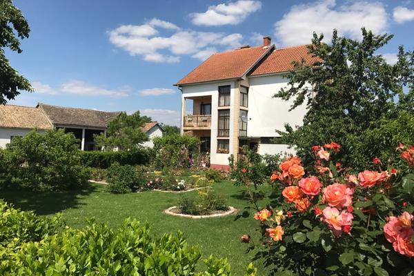 ON JE PONOSAN JER DOLAZI IZ UZVEĆA, SELA KRAJ ŠAPCA: Popularni pevač otvorio nam je vrata porodičnog doma (FOTO)