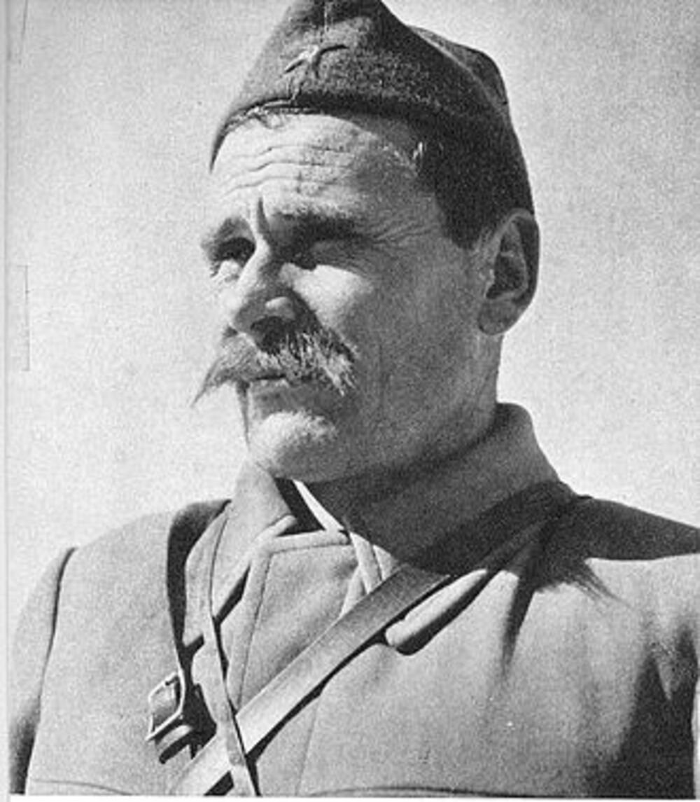 Sava Kovačević, NOB, Heroj, Revolucionar, Narodni heroj