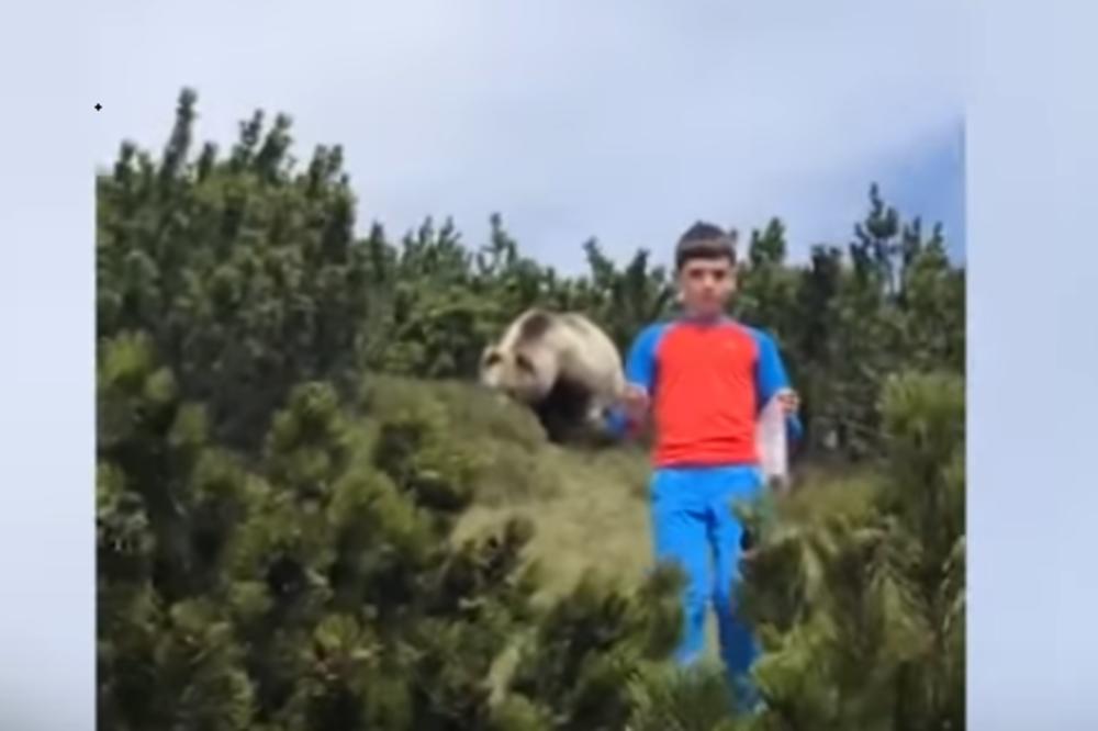 DEČAK (12) NAŠAO SE OČI U OČI SA MEDVEDOM: Kraj ove drame ne možete NI DA NASLUTITE, gledali su ga roditelji