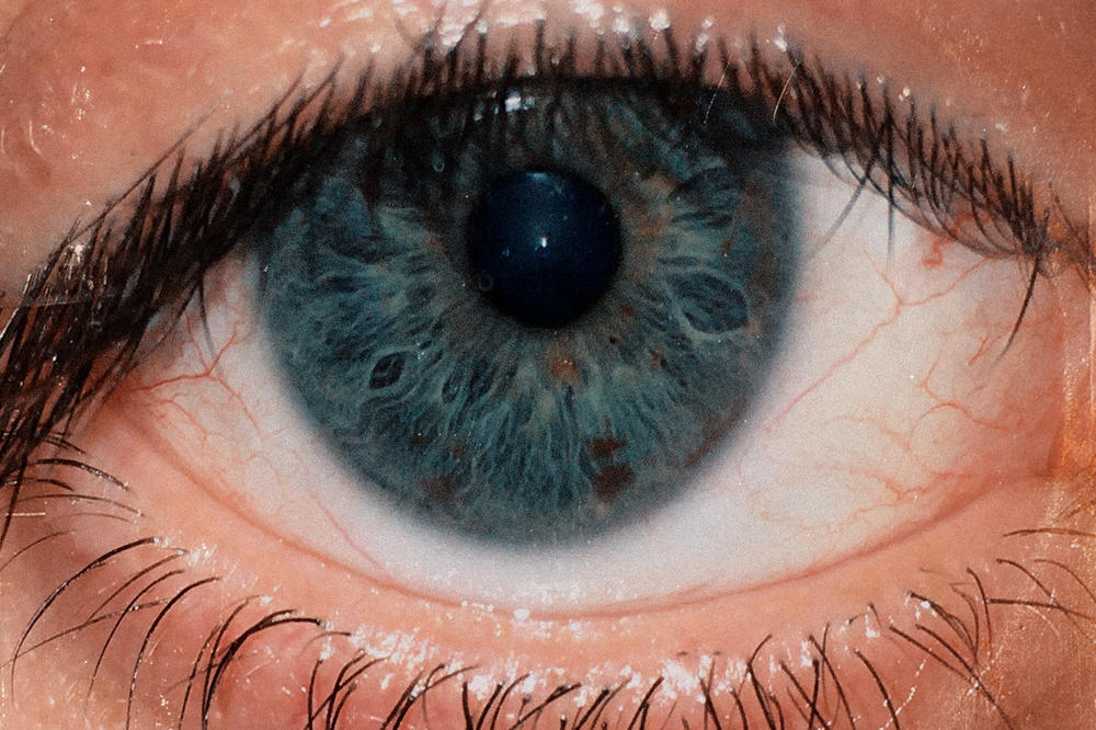 DANIEL ROMANO - DANDELION