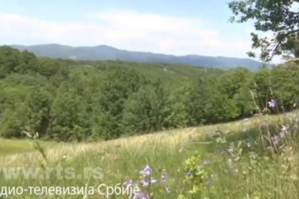 OVDE UGAŠEN AUTO IDE UZBRDO, POTOK TEČE UZVODNO: Planinu u Srbiji NIJE MOGUĆE VIDETI NI NA SATELITSKIM SNIMCIMA