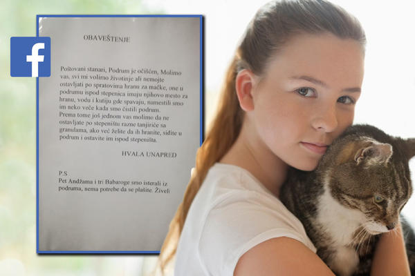 SAMO JE POTREBNO BITI ČOVEK: Oduševićete se kad vidite šta su stanari jedne zgrade u Beogradu uradili (FOTO)