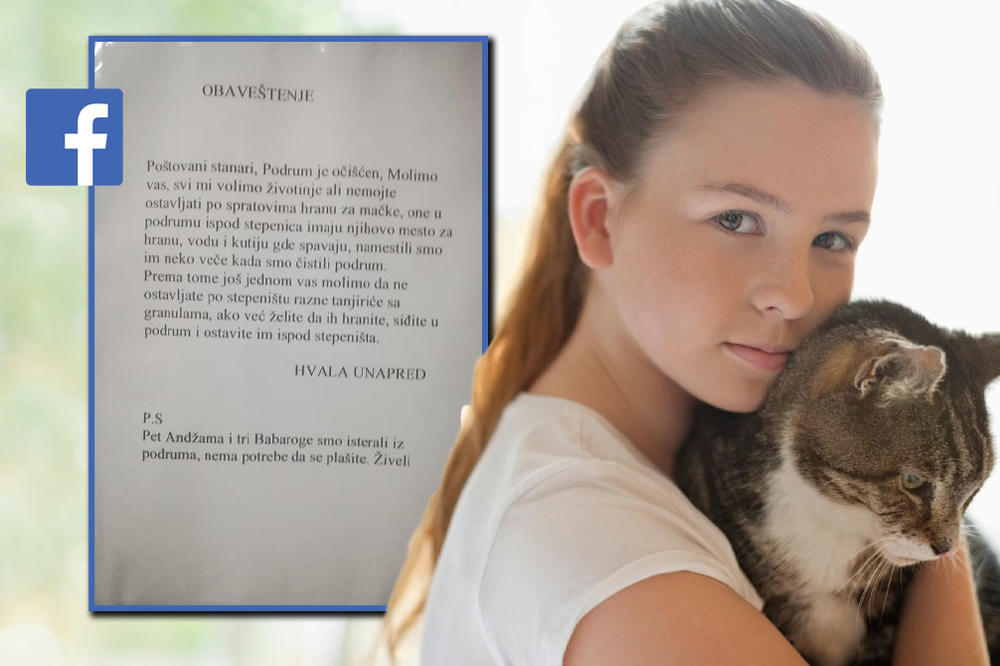 SAMO JE POTREBNO BITI ČOVEK: Oduševićete se kad vidite šta su stanari jedne zgrade u Beogradu uradili (FOTO)