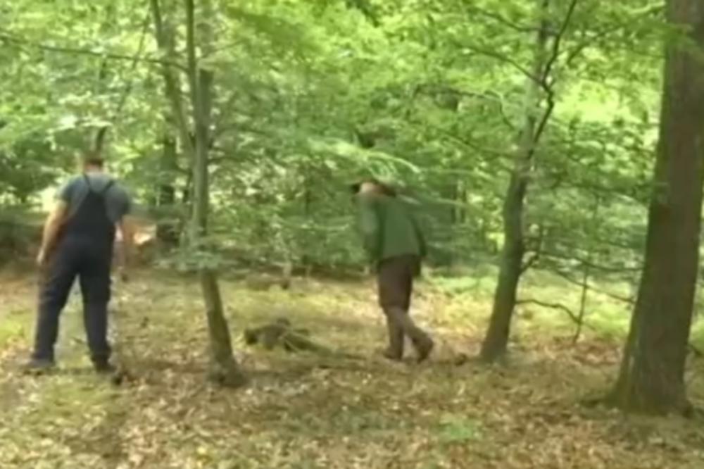 NE MOŽETE NI DA ZAMISLITE KAKVU ZARADU DONOSI OVAJ POSAO: Tu prva greška može da vam bude POSLEDNJA