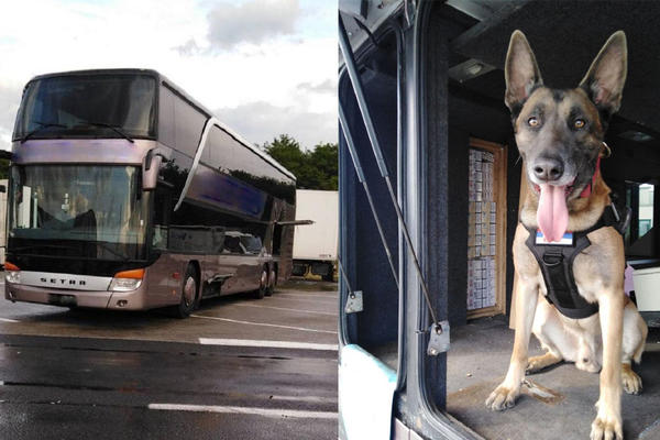 LEGENDARNA HERA OPET RAZBUCALA ŠVERCERE: Nanjušila je tovar u autobusu, NIJE IM BILO SPASA (FOTO)