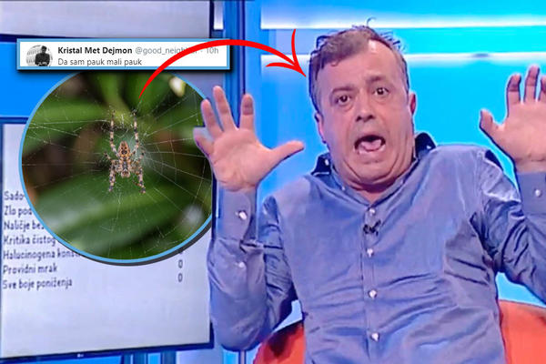 MOJA ŽENA KAD JE IZNENADI SMRDIBUBA, JA KAD NAĐEM KUVANI LUK U TANJIRU SUPE: Sergeja odvaljuju zbog gestikulacije