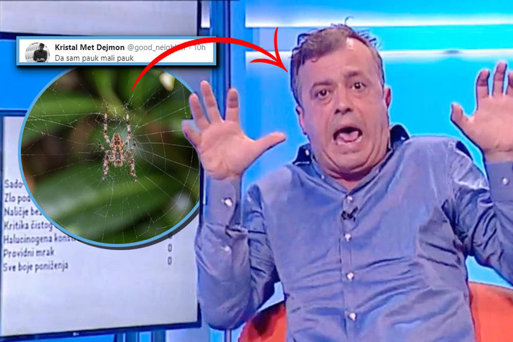 MOJA ŽENA KAD JE IZNENADI SMRDIBUBA, JA KAD NAĐEM KUVANI LUK U TANJIRU SUPE: Sergeja odvaljuju zbog gestikulacije