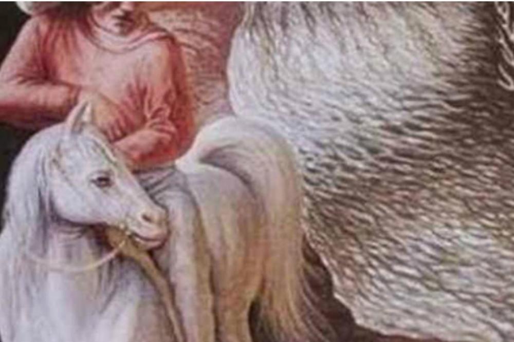 DOBRO POGLEDAJTE OVU SLIKU: Ono što prvo vidite otkriva zašto ste PRIVLAČNI drugim ljudima!