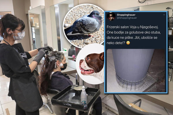 UŽAS U SRCU BEOGRADA: Bodljama zaštitili stub od uriniranja pasa, a decu izložili opasnosti!