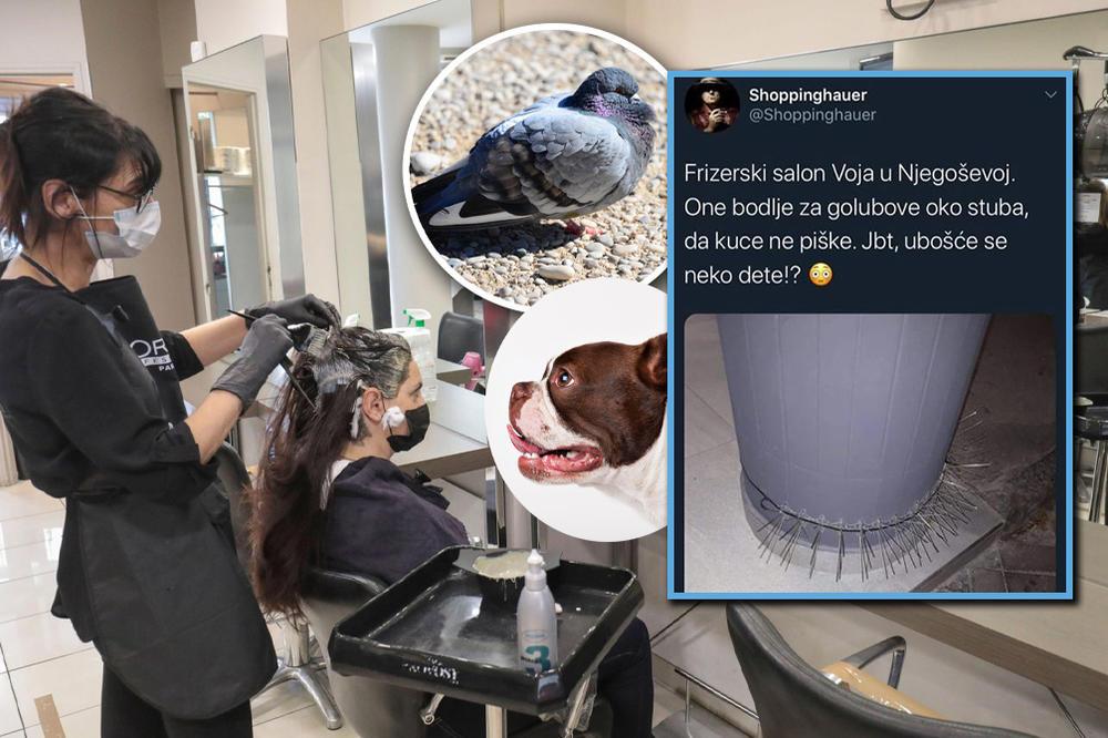 UŽAS U SRCU BEOGRADA: Bodljama zaštitili stub od uriniranja pasa, a decu izložili opasnosti!