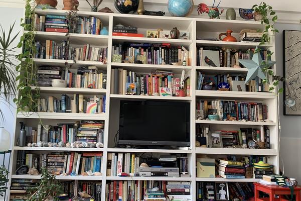 SAMO RETKI USPEJU DA UOČE MAČKU NA OVOJ FOTOGRAFIJI: Sakrila se u policama, da li vidite gde? (FOTO)