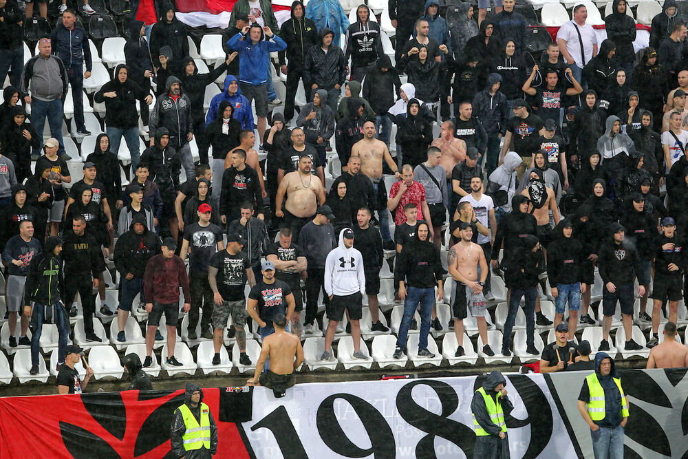 Navijači Vojvodine - Firma