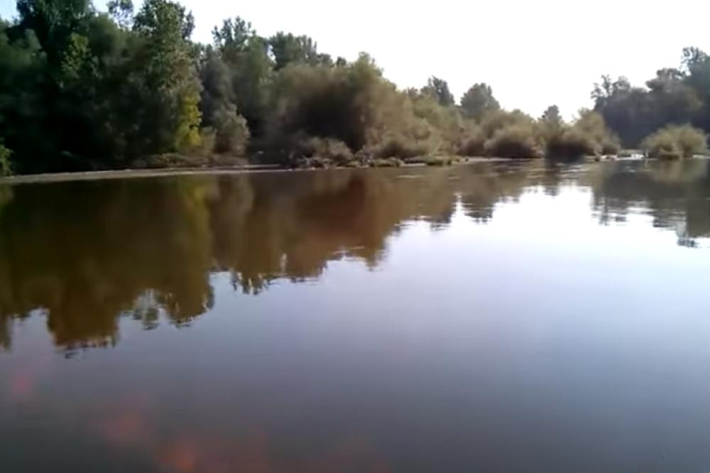 UHVAĆENO ČUDOVIŠTE IZ JUŽNE MORAVE! Ribari su ga jurili 20 godina, a kada su videli šta su izvukli nastao je horor!