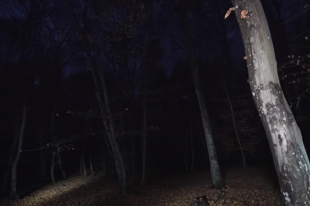 DEČAK (3) PRONAĐEN U ŠUMI 4 DANA NAKON NESTANKA: Otrčao iz dvorišta za psom, majka van sebe od olakšanja!