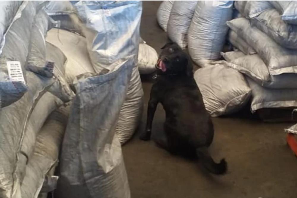 KOKAIN SU POMEŠALI SA GUMOM! U Kolumbiji zaplenjeno 5 TONA DROGE skriveno na do sada NEVIĐEN NAČIN