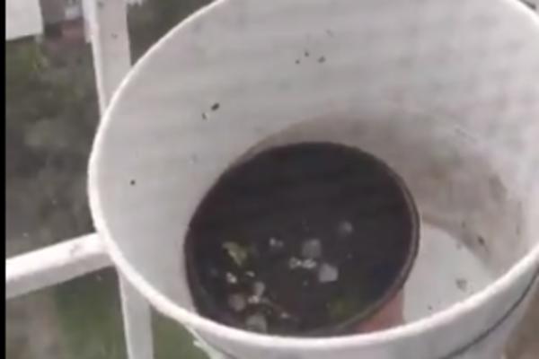 POČELO JE DA DIVLJA NEVREME, LJUDI BEŽE GLAVOM BEZ OBZIRA: Grad veličine lešnika zasuo Novi Beograd (VIDEO)