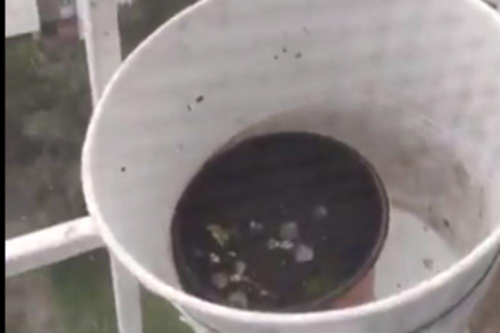 POČELO JE DA DIVLJA NEVREME, LJUDI BEŽE GLAVOM BEZ OBZIRA: Grad veličine lešnika zasuo Novi Beograd (VIDEO)