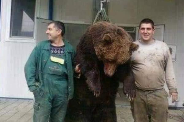 DA LI SU OVO DVA NAJVEĆA RETARDA NA SVETU? Ubili nedužnu životinju, obesili je, zaklali, a potom se slikali s njom