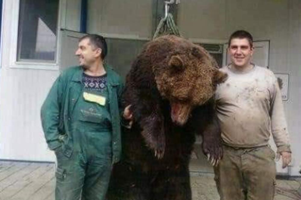 DA LI SU OVO DVA NAJVEĆA RETARDA NA SVETU? Ubili nedužnu životinju, obesili je, zaklali, a potom se slikali s njom