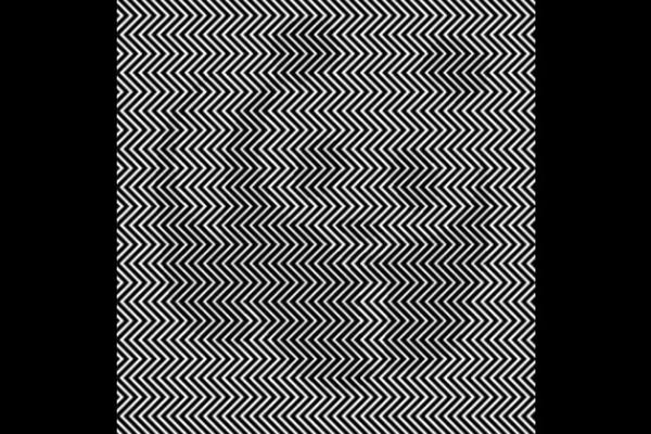 KOLIKO STE INTELIGENTNI? Da bi to saznali, samo treba da pogledate pažljivo ovu fotografiju (FOTO)