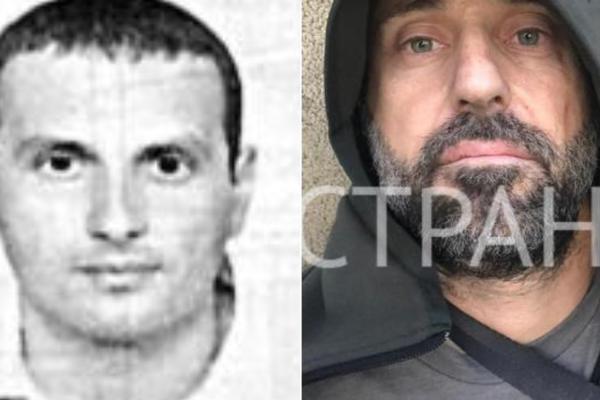 PECU PITBULA SASLUŠAVAJU U KIJEVU? Pokrenuta istraga protiv Petra Jovanovića za ubistvo na Bežanijskoj kosi
