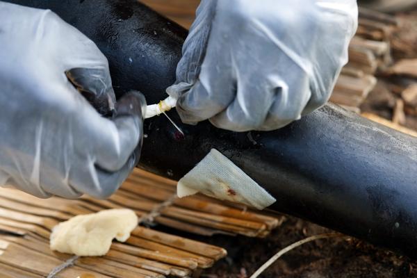 UŽASNO STVORENJE KOJE UNIŠTAVA LJUDIMA ŽIVOTE PRONAĐENO U VIJETNAMU! Svi su mislili da je IZUMRLO!