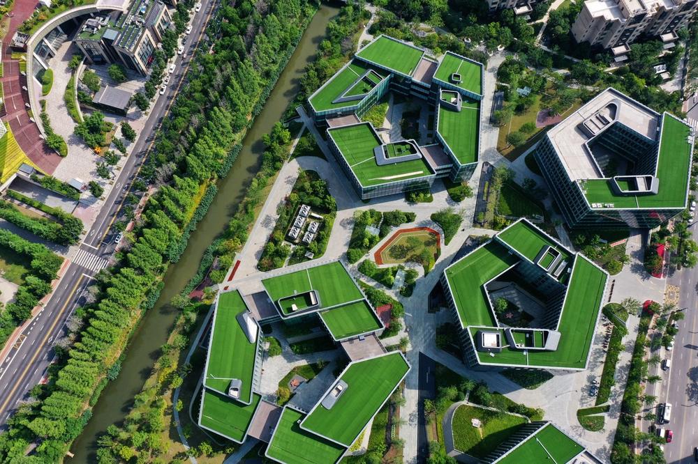 OVO BISMO USKORO MOGLI DA VIDIMO I U BEOGRADU: Profesor UNIVERZITETA ima veoma zanimljiv predlog za promenu