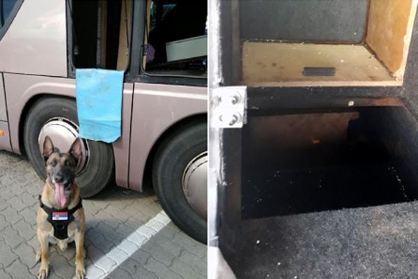 AUTOBUS SA 76 PUTNIKA STAO JE NA HORGOŠU: Pas Neron je u TOALETU nanjušio nešto što su ONI HTELI DA SAKRIJU (FOTO)