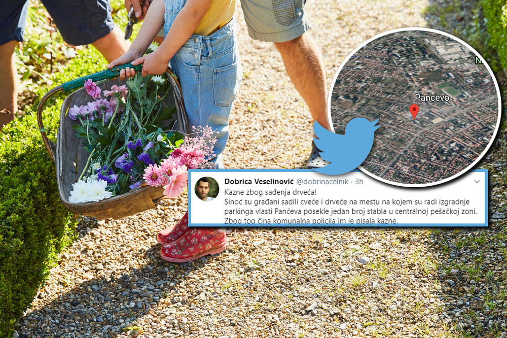 KOMUNALCI KAZNILI LJUDE KOJI SU SADILI CVEĆE! Ljudi besni zbog besramnog oduzimanja prava na vazduh!