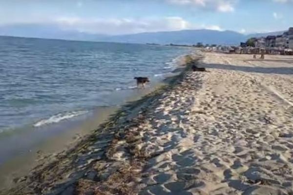 U GRČKOJ SU PLAŽE SABLASNO PRAZNE: Pogledajte ove jezive prizore, nma nigde nikoga! (VIDEO)