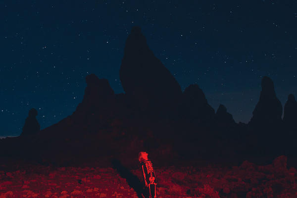 PHOEBE BRIDGERS - PUNISHER