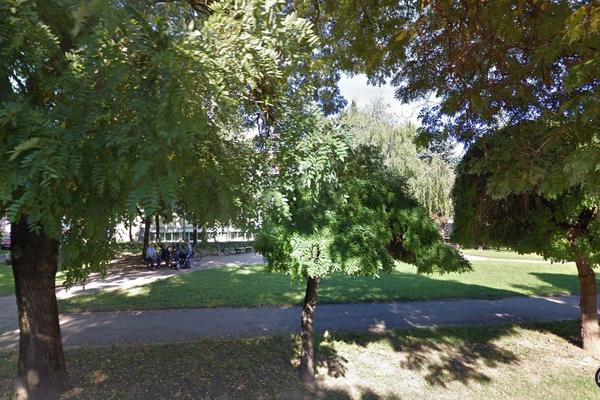 DOKTOR U DOMU ZDRAVLJA U BEČEJU ODBIO DA PREGLEDA DETE OD 6 GODINA!!! Ne možeš mi ništa, ja imam jaku vezu!