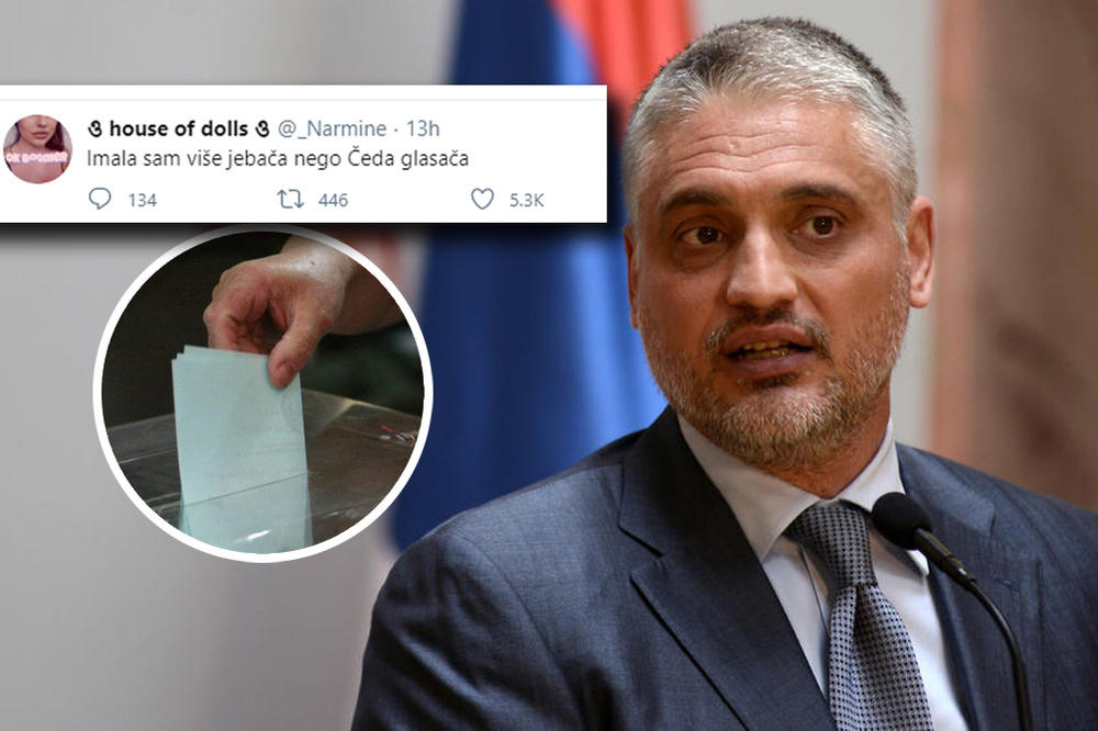 IMALA SAM VIŠE JEB*ČA NEGO ČEDA GLASAČA! Da li je ovo najbrutalnija prozivka posle izbora?