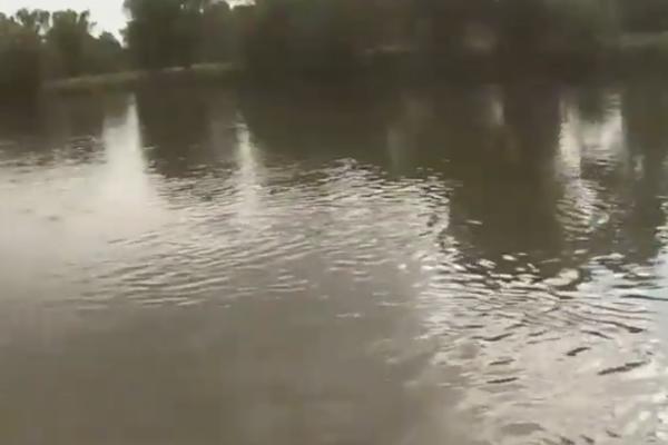 HITNO ZATVOREN GRANIČNI PRELAZ: Izlila se Morava, nije u Srbiji samo haos