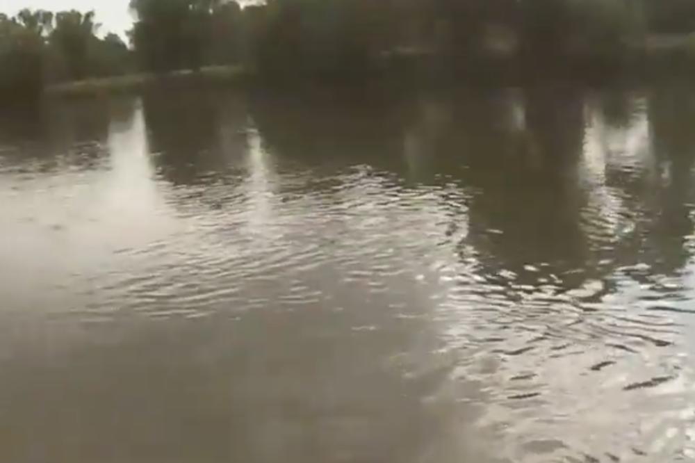 HITNO ZATVOREN GRANIČNI PRELAZ: Izlila se Morava, nije u Srbiji samo haos