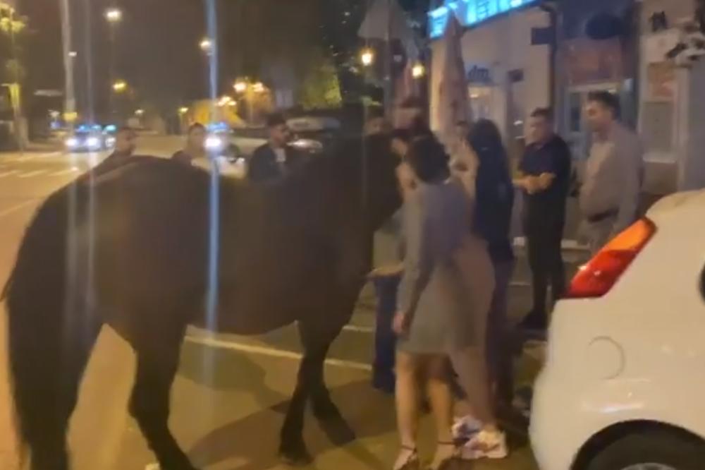 ŠTA MISLITE, U KOM SRPSKOM GRADU JE KONJ ZALUTAO U CENTAR? Nema šanse da pogodite (FOTO)