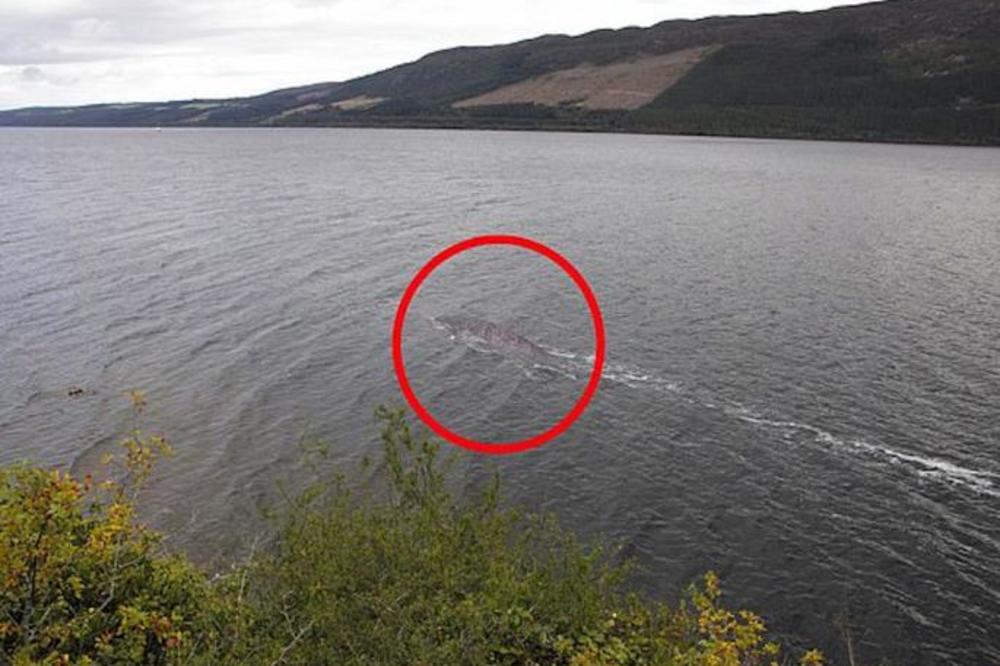 STAJAO JE NA OBALI I SLUČAJNO UHVATIO OVU SLIKU: Kada je video šta je na njoj, sledio se u mestu! (FOTO)