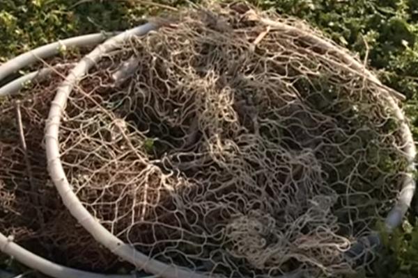 JEZIVA TRAGEDIJA TRESE SRBIJU! Ribar se udavio u Šapcu, dok je postavljao mreže