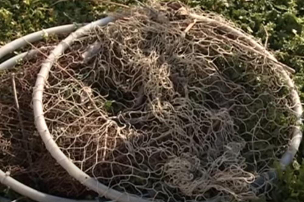 JEZIVA TRAGEDIJA TRESE SRBIJU! Ribar se udavio u Šapcu, dok je postavljao mreže