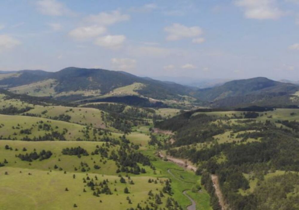 Zlatibor, Odmor, Planina