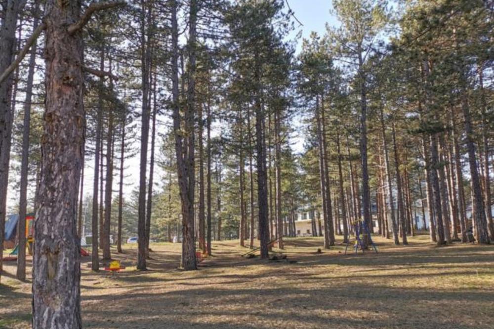 OVA PLANINA JE ZAPRAVO VAZDUŠNA BANJA, A SRBI JE OBOŽAVAJU! Poboljšaće vam zdravlje za samo par dana boravka (FOTO)