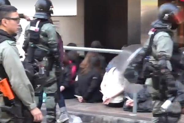 ČIM JE STUPIO ZAKON NA SNAGU PČELI DA HAPSE! Prvo ih prskali biberom, a onda pretukli! (FOTO)