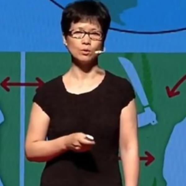 ŽENA ŠIŠMIŠ TVRDI DA KORONA NIJE NASTALA U KINI: Šokantne TVRDNJE kineske NAUČNICE!