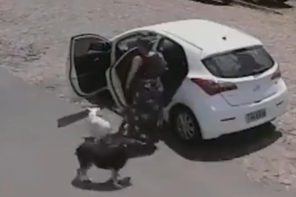 KAKO SI MOGLA? OLOŠU! BESTIDNICE! Ceo svet priča o onome što je uradila OVA ŽENA (VIDEO)