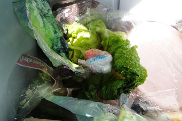 SRPSKI CARINICI SU RAZGRNULI GLAVICE ZELENE SALATE: Unutra su bili mali zamotuljci, ZA OVO SE IDE U APS!