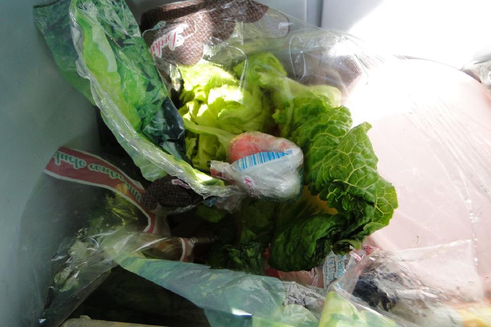 SRPSKI CARINICI SU RAZGRNULI GLAVICE ZELENE SALATE: Unutra su bili mali zamotuljci, ZA OVO SE IDE U APS!