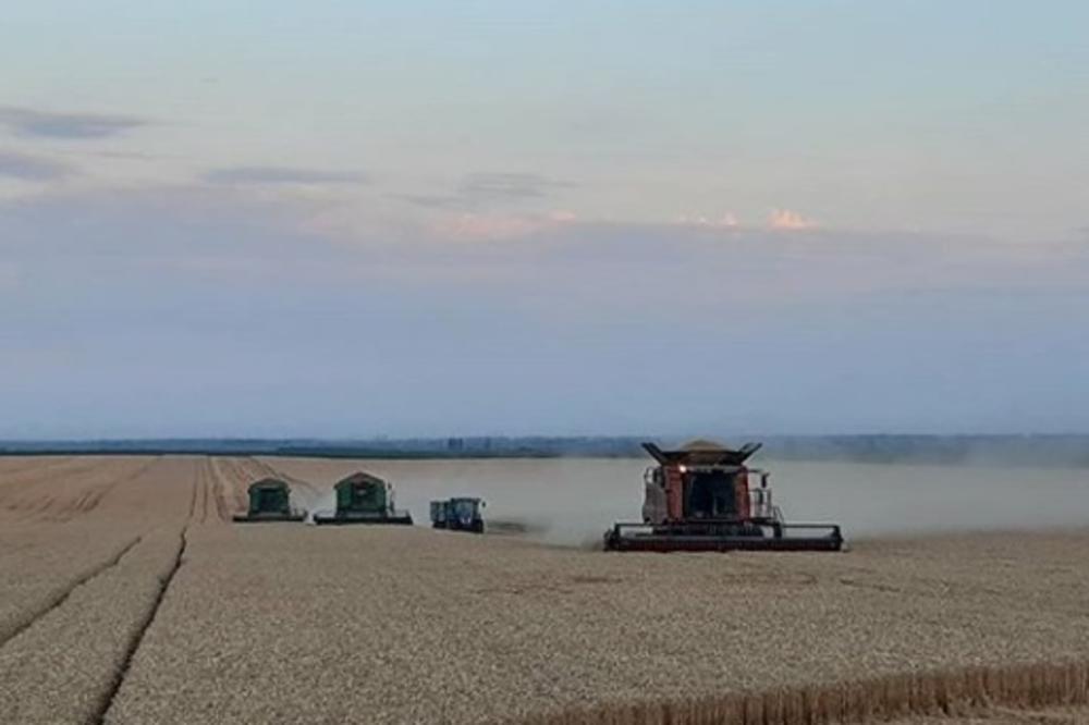 ALEKSANDAR VUČIĆ JE UPRAVO OBJAVIO OVU FOTOGRAFIJU NA INSTAGRAMU: Kad pročitate ŠTA JE NAPISAO, sve će biti JASNO!
