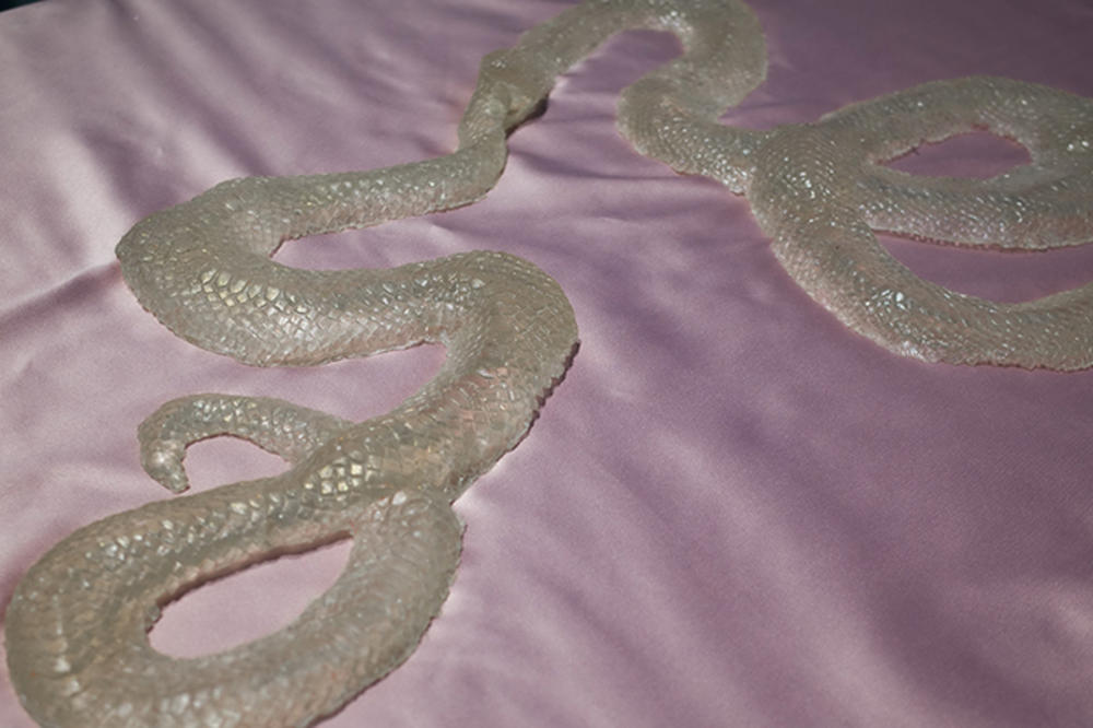 SLAVICA OBRADOVIĆ: IZLOŽBA "KAO DA JE MONSUN IZNENADA UTIHNUO" - Bol kao osnova identiteta